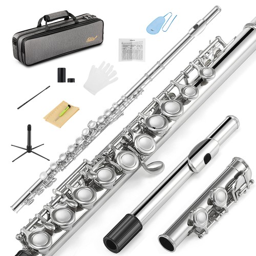 Eastar concert flute - flute, with