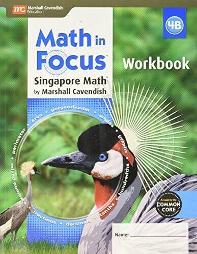 Math focus singapore - in, focus: